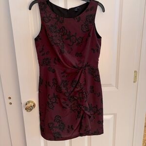 Banana Republic plum dress, size 6P
Excellent condition